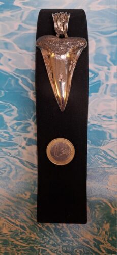 zilveren hanger haaientand groot